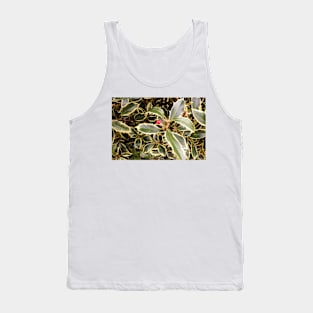 Variegated Holly Bush Tank Top